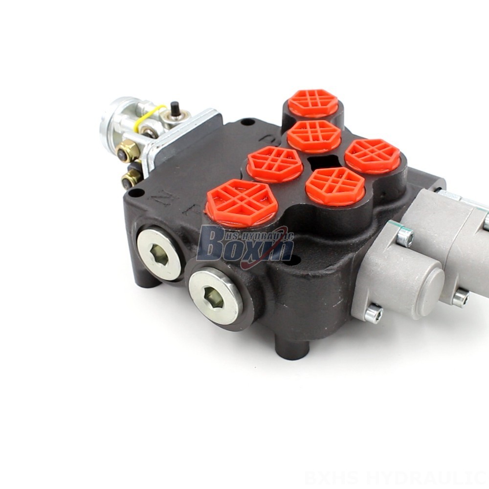 P80 Valve Series OEM and ODM: Hydraulic Directional Control Solutions cover photo
